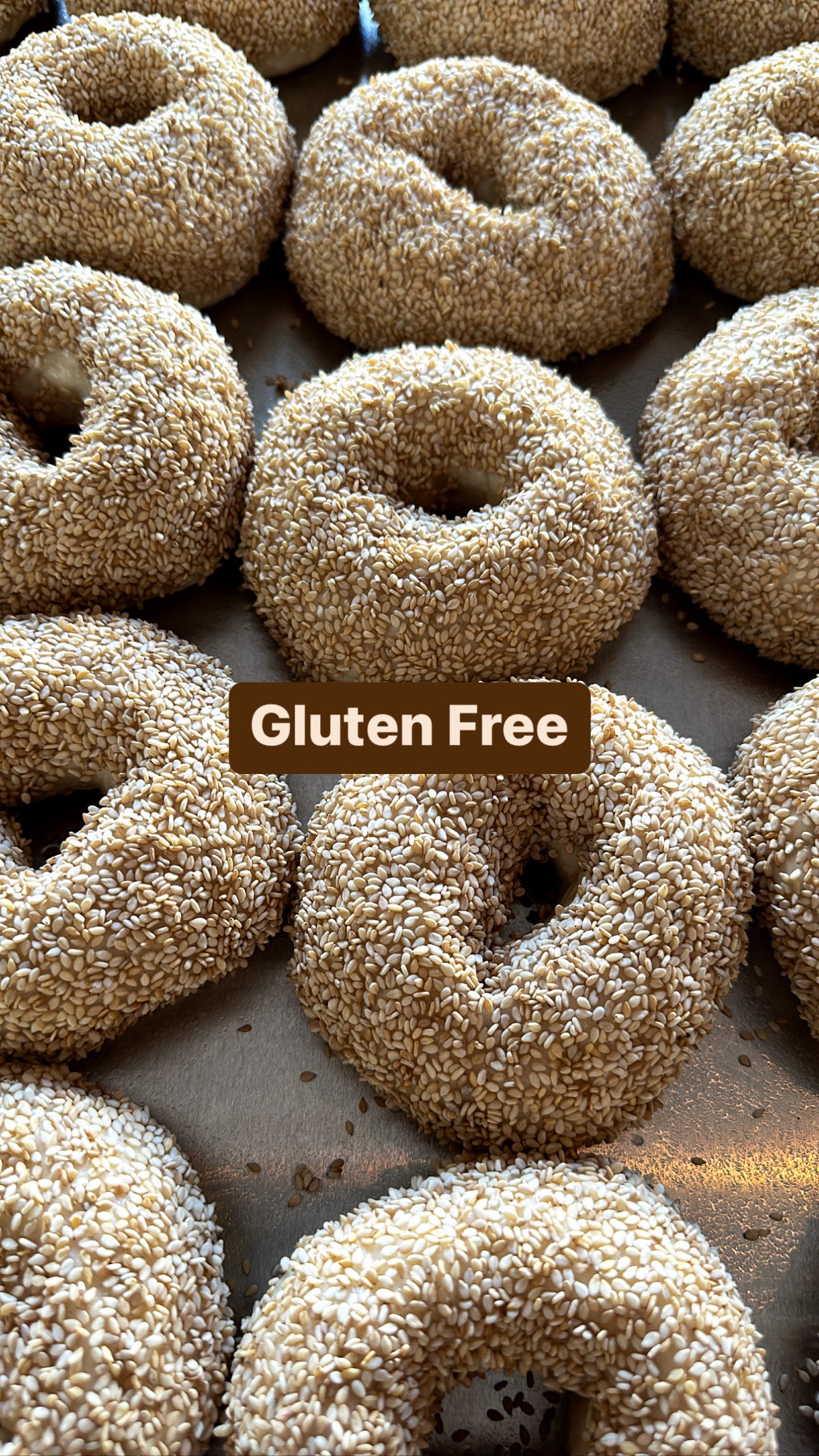 LOOK AT ME I&#39;M GLUTEN-FREE!!!  [BAGELS]